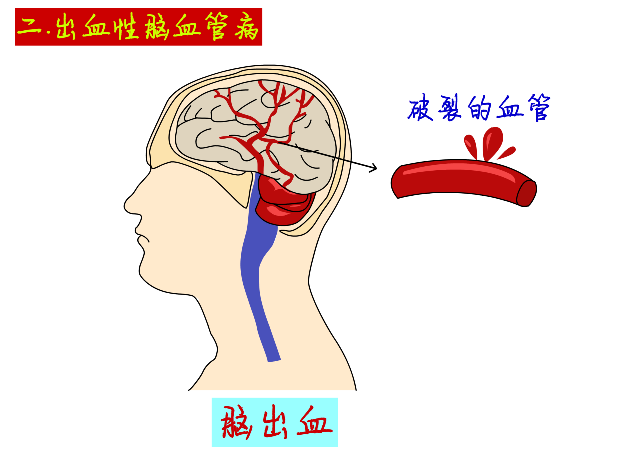 image003.png