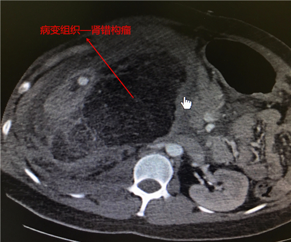微信图片_20180322165014_副本.jpg