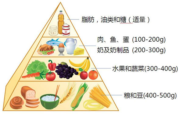 燕医科普|糖尿病饮食治疗知多少?