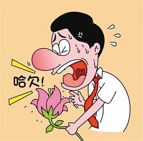 小吾侃山系列(六)不堪其扰的过敏性疾病