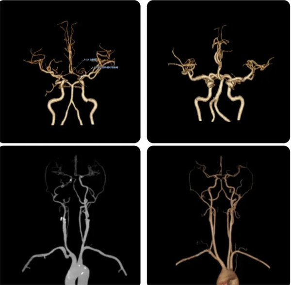 微信图片_20251121103922_630_8.jpg 微信图片_20251121103922_630_8.jpg
